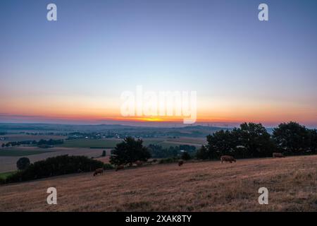 Blick auf die Warburger Landschaft in Richtung des Dorfes Rösbeck an einem Sommermorgen bei Sonnenaufgang, Landkreis Höxter, Nordrhein-Westfalen, Deutschland Stockfoto