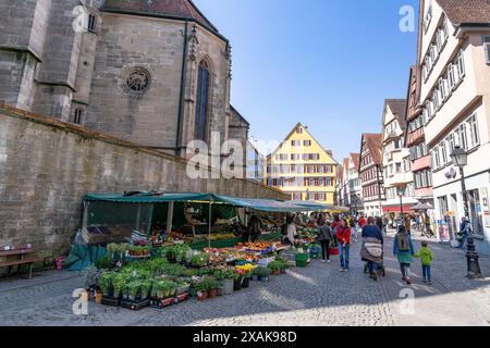 Europa, Deutschland, Baden-Württemberg, Tübingen, Marktstände vor der Stiftskirche St. Georg in der Tübinger Altstadt Stockfoto