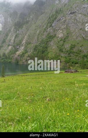 Europa, Deutschland, Bayern, Bayerische Alpen, Berchtesgaden, Blick auf die Fischunkelalm am Obersee Stockfoto