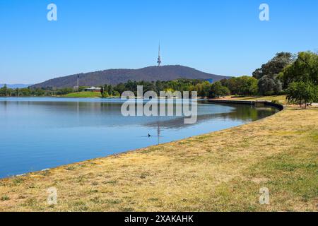 Das grasbewachsene Ufer des Lake Burley Griffin in Canberra, Australian Capital Territory Stockfoto