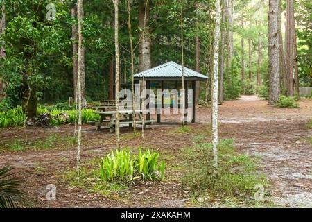 Central Station, das ehemalige Zentrum der Forstwirtschaft im Herzen des Regenwaldes von Fraser Island, der größten Sandinsel der Welt Stockfoto