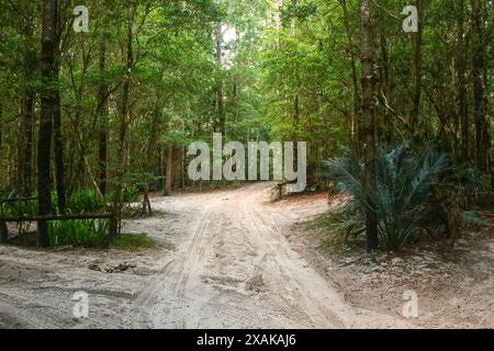 Central Station, das ehemalige Zentrum der Forstwirtschaft im Herzen des Regenwaldes von Fraser Island, der größten Sandinsel der Welt Stockfoto