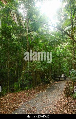 Central Station, das ehemalige Zentrum der Forstwirtschaft im Herzen des Regenwaldes von Fraser Island, der größten Sandinsel der Welt Stockfoto