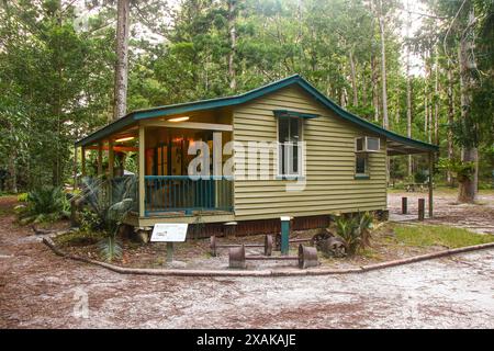 Central Station, das ehemalige Zentrum der Forstwirtschaft im Herzen des Regenwaldes von Fraser Island, der größten Sandinsel der Welt Stockfoto