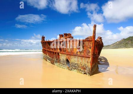 Das Schiffswrack der SS Maheno wurde halb im Sand des 75 km langen Strandes an der Ostküste von Fraser Island in Queensland, Australien, begraben Stockfoto