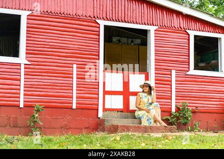 Nordamerika, Karibik, Hispaniola Island, Dominikanische Republik, Monte Plata, Bayaguana, Campo Aventura, hübsche Frau im Blumenkleid sitzt vor einem roten Holzhaus Stockfoto