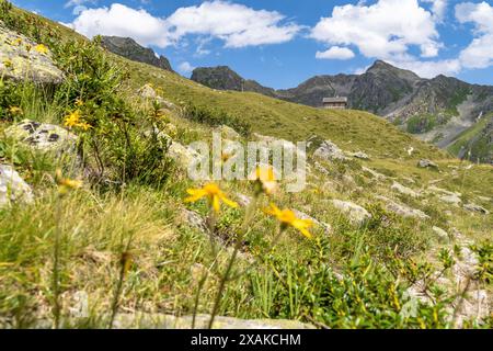 Europa, Österreich, Verwall, Vorarlberg, Schruns, Wormser Höhenweg, Almhütte in malerischer Berglandschaft Stockfoto