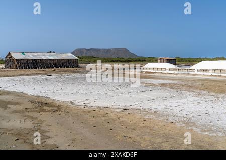 Nordamerika, Karibik, Großantillen, Insel Hispaniola, Dominikanische Republik, Provinz Monte Cristi, San Fernando de Monte Cristi, Saline von Montecristi mit Kalkstein El Morro im Hintergrund Stockfoto