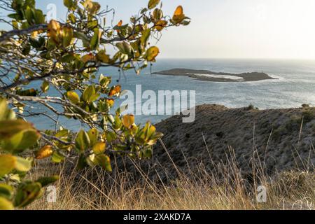 Nordamerika, Karibik, Großantillen, Insel Hispaniola, Dominikanische Republik, Provinz Monte Cristi, San Fernando de Monte Cristi, El Morro de Monte Cristi, Blick auf die kleine Insel Isla Cabra im Abendlicht Stockfoto