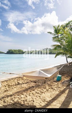 Nordamerika, Karibik, Großantillen, Hispaniola, Dominikanische Republik, Halbinsel Samana, Las Terrenas, Hängematte am Playa Bonita Strand Stockfoto