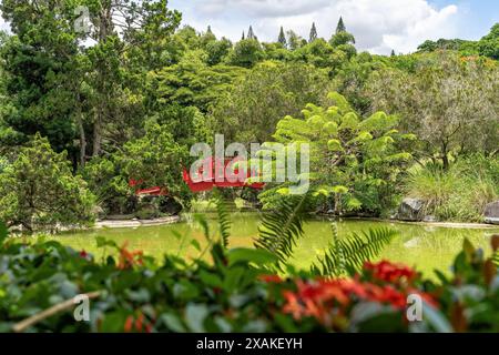 Nordamerika, Karibik, Großantillen, Hispaniola, Dominikanische Republik, Santo Domingo, Japanischer Garten im Botanischen Garten Dr. Rafael Maria Moscoso in Santo Domingo Stockfoto