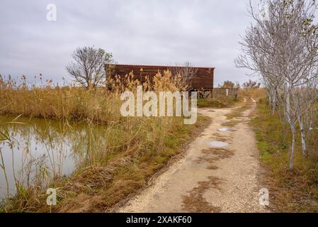 Riet Vell Hide - Observatorium, im Ebro-Delta, an einem bewölkten Wintertag (Montsià, Tarragona, Katalonien, Spanien) Stockfoto