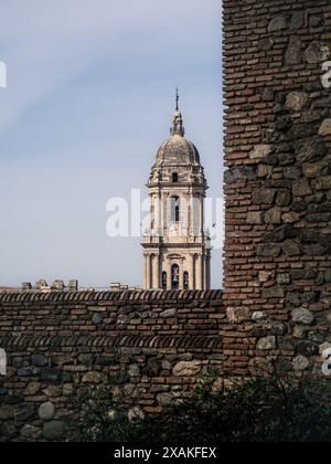 Blick auf die Kathedrale von Malaga mit der Skyline der Stadt von der Festung Alcazaba in Andalusien, Spanien Stockfoto