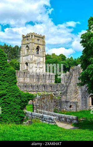 Fountains Abbey, Ripon, North Yorkshire, England, Großbritannien - 06. Juni 2024 : die historischen Fountains Abby aus dem 13. Jahrhundert, Außenansicht der Ruinen und des Turms Stockfoto