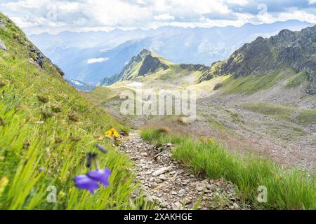 Europa, Österreich, Verwall, Tirol, Kappl, schmaler Bergweg zur Niederelbehütte Stockfoto