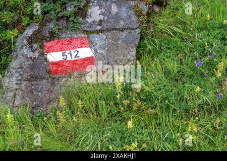 Europa, Österreich, Verwall, Tirol, Kappl, Wegmarkierung am Kieler Weg zwischen Niederelbehütte und Edmund-Graf-Hütte Stockfoto