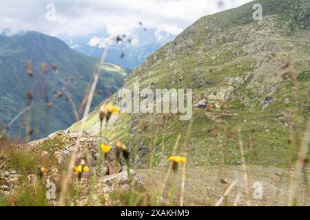 Europa, Österreich, Verwall, Tirol, Pettneu am Arlberg, Blick auf die Edmund-Graf-Hütte im oberen Kapplerboden Stockfoto
