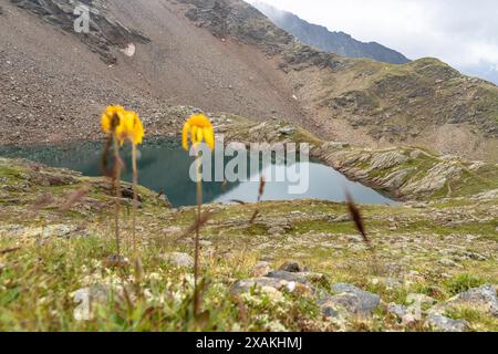 Europa, Österreich, Verwall, Tirol, Pettneu am Arlberg, Blick auf den Schmalzgrubensee Stockfoto