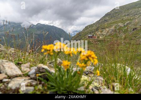 Europa, Österreich, Verwall, Tirol, Pettneu am Arlberg, Blick auf die Edmund-Graf-Hütte im oberen Kapplerboden Stockfoto