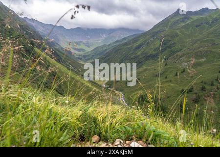 Europa, Österreich, Verwall, Tirol, Pettneu am Arlberg, Blick auf das grüne Malfontal Stockfoto