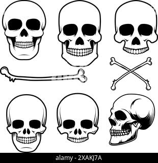 Set der menschlichen Schädel im Vektor Stock Vektor