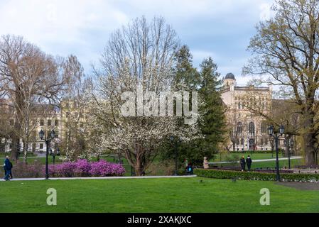 Obstbäume blühen in der Nähe der Lettischen Nationaloper, Bastejkalna Park, Riga, Lettland Stockfoto