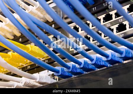 Rechenzentrum, Netzwerkpanel, Switch und angeschlossene Kabel. Nahaufnahme, selektiver Fokus, Hintergrund zu Netzwerktechnologien. Stockfoto