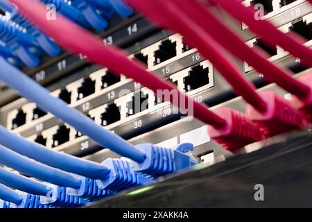 Rechenzentrum, Netzwerkpanel, Switch und angeschlossene Kabel. Nahaufnahme, selektiver Fokus, Hintergrund zu Netzwerktechnologien. Stockfoto