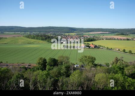 Blick über das Harzvorland vom Löbbeckestieg-Wanderweg im Harz, Höhenweg entlang der Teufelsmauer, der vom Großvaterfelsen bei Blankenburg zum Hamburger Wappen bei Timmenrode, Sachsen-Anhalt, führt Stockfoto