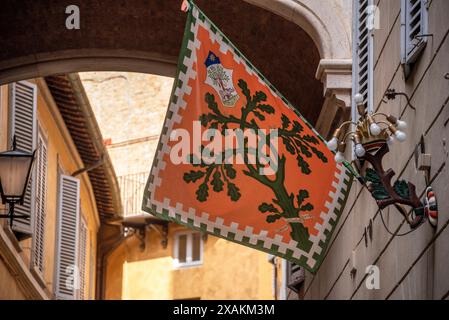 SIENA, ITALIEN - 23. SEPTEMBER 2023 - Contrade-Flagge des Stadtviertels Selva-Rhino hängt in einer Straße in der Innenstadt von Siena, Italien Stockfoto