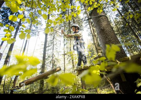 Junge im Klettergarten Stockfoto