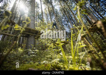 Junge im Klettergarten Stockfoto