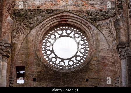 Zerstörte Fensterrosette im verlassenen Zisterzienserkloster San Galgano in der Toskana, Italien Stockfoto