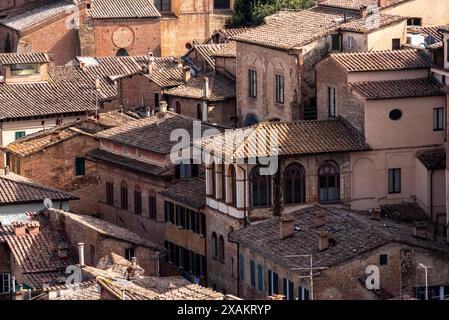 Alte Wohnhäuser im Stadtzentrum von Siena, Italien, vom Panoramablick Facciatone aus gesehen Stockfoto