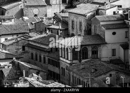 Alte Wohnhäuser im Stadtzentrum von Siena, Italien, vom Panoramablick Facciatone aus gesehen Stockfoto