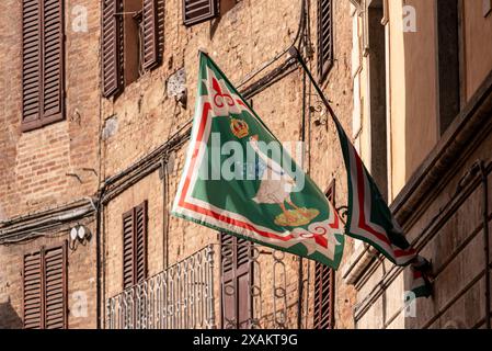 Contrade-Flaggen des Stadtviertels Oca-Goose hängen in einer Straße in der Innenstadt von Siena, Italien Stockfoto