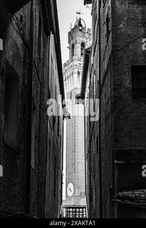 Turm des Palazzo Pubblico an der Piazza del Campo in der Innenstadt von Siena, Italien, aus einer engen Gasse gesehen Stockfoto