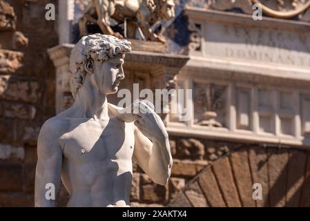Michelangelos berühmte David-Statue an der Piazza della Signoria in Florenz, Italien Stockfoto
