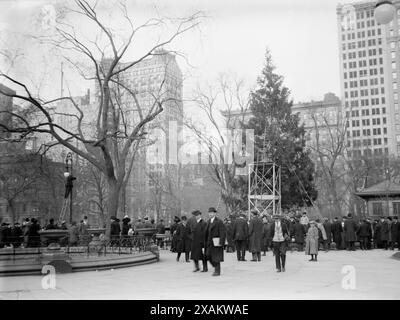 Weihnachtsbaum in Madison Square. Park, New York, zwischen 1910 und 1915. Stockfoto