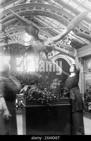 Helen Keller, 1913. Zeigt Helen Keller (1880–1968) mit ihrer Lehrerin Anne Sullivan Macy (1866–1936) möglicherweise auf der International Flower Show, New York City, April 1913. Stockfoto