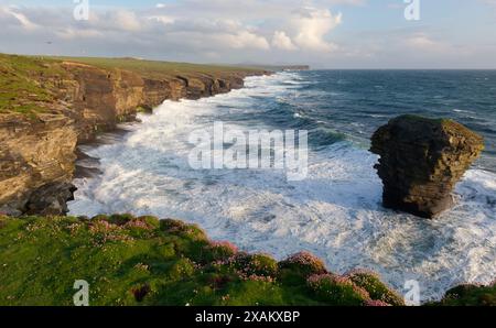 Der Spordenmeer, die Orkney-Inseln Stockfoto