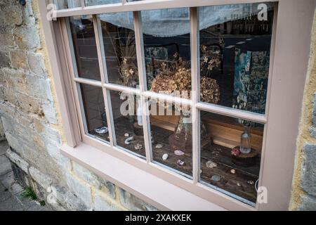 Getrocknete Blumen und eine Ausstellung alter Objekte in einem Fenster an der Bridport High Street. Schrullig, künstlerisch, interessant. Stockfoto