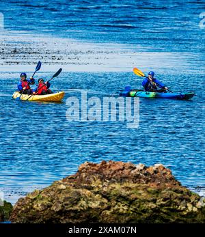 Kajakfahrer vor der Küste von Santa Cruz Island; Channel Islands National Park; Kalifornien; USA Stockfoto