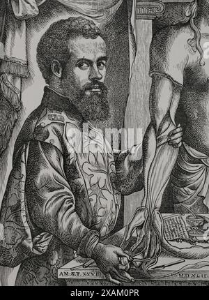 Andreas Vesalius (1514-1564). Flämischer Anatom und Arzt. Hochformat. Stich nach einer Zeichnung von Jan Van Calcar aus dem Jahr 1542. Sciences & Lettres au Moyen Age et a l'epoque de la Renaissance. Paris, 1877. Stockfoto