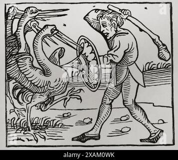 Monster, die aus der Sintflut geboren wurden. Nach Holzstich in der Chronique de Nürnberg, gedruckt 1493. Sciences & Lettres au Moyen Age et a l'epoque de la Renaissance. Paris, 1877. Stockfoto