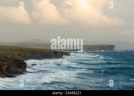 Orkney West Festland Küste Stockfoto