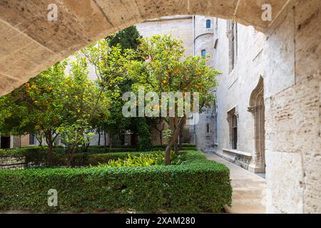 Valencia, Spanien - 20. April 2024. Orangengarten im Innenhof der Seidenbörse. Stockfoto