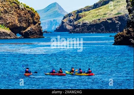 Kajakfahrer vor der Küste von Santa Cruz Island; Channel Islands National Park; Kalifornien; USA Stockfoto