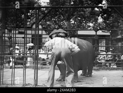Central Park - Mann mit Kopf im Nilpferdmund, zwischen 1910 und 1915. Stockfoto