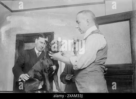 1. Patient, Dog Hospital, New York City, 1914. Zeigt Tierarzt Bruce Blair, der einen Hund im Krankenhaus der New York Women's League for Animals, 350 Lafayette Street, New York City, untersucht, das im März 1914 eröffnet wurde. Stockfoto